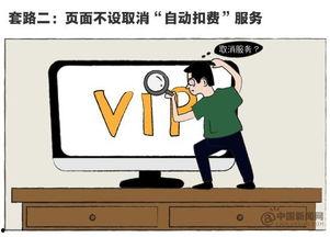 加多撸在线观看视频,揭秘热门视频背后的精彩故事